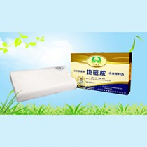 舒磁康學生地磁枕